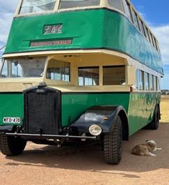 Bus